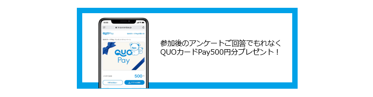 QUOカードPay500_アンケート